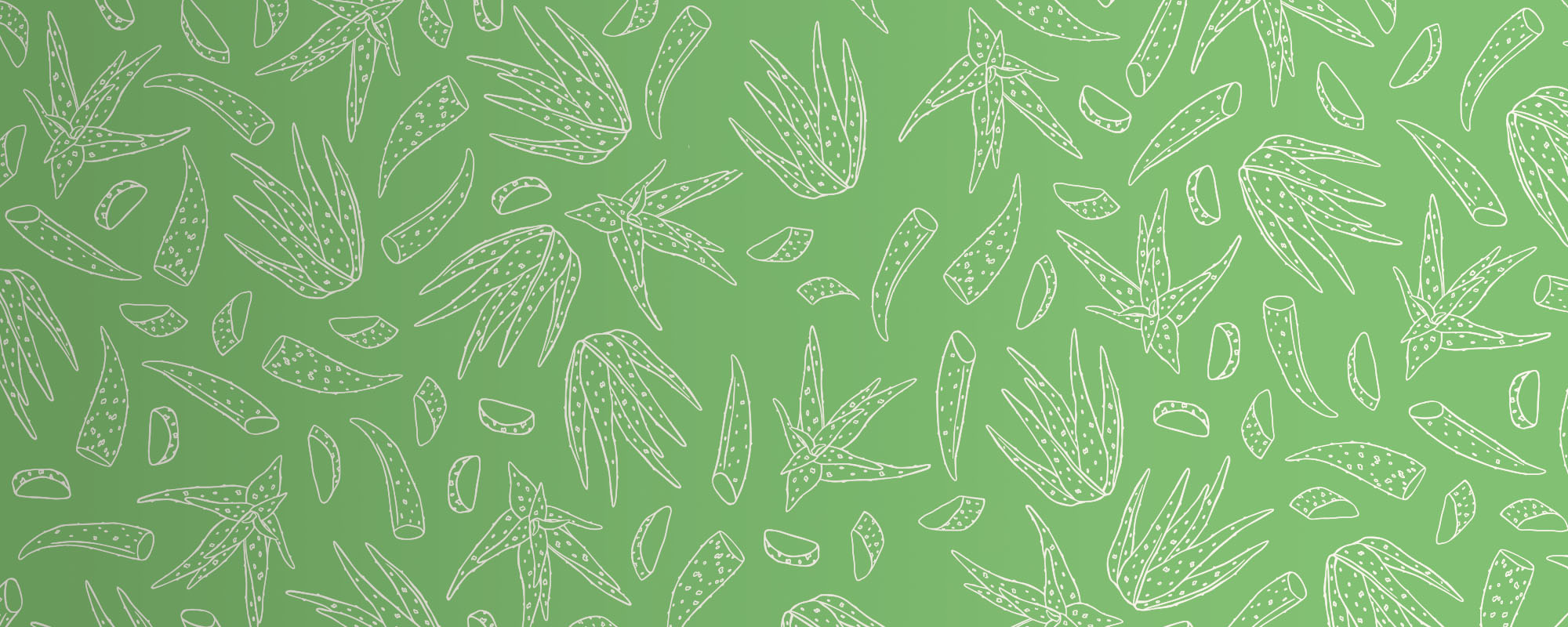 Aloe Vera Skincare Products