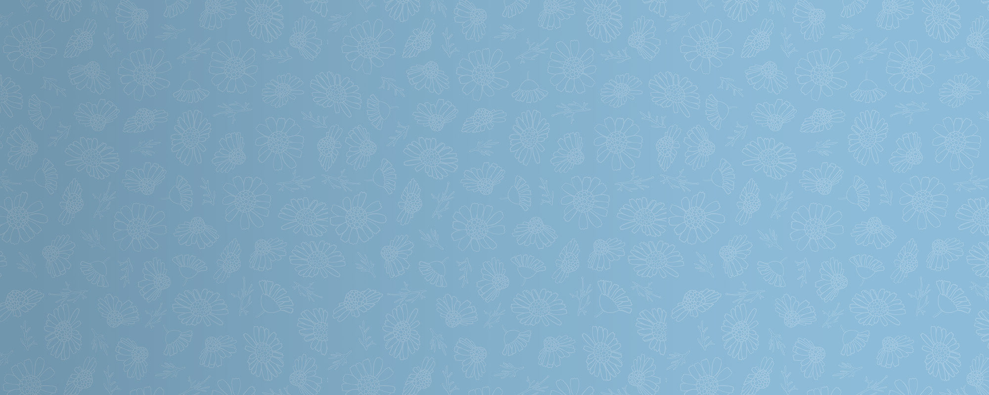 Camomile Skincare Products