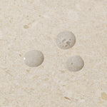 The Body Shop Seaweed Oil Balancing Toner