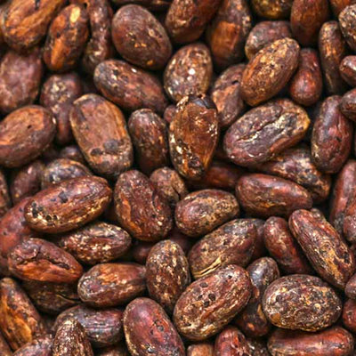 Cocoa Butter